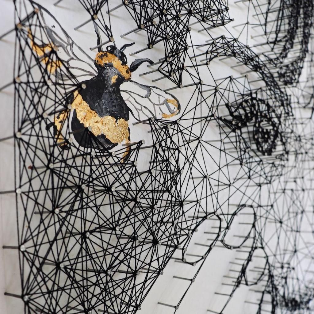 Anne-Claire Schroeder-Rose